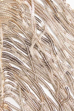 Backless Fringe Sequin Midi Dress