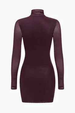 Basic Mesh Long Sleeve Mini Dress