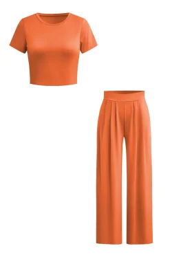 Basic Solid Crop T-shirt And Pleated High Waist Wide Leg Pants Set