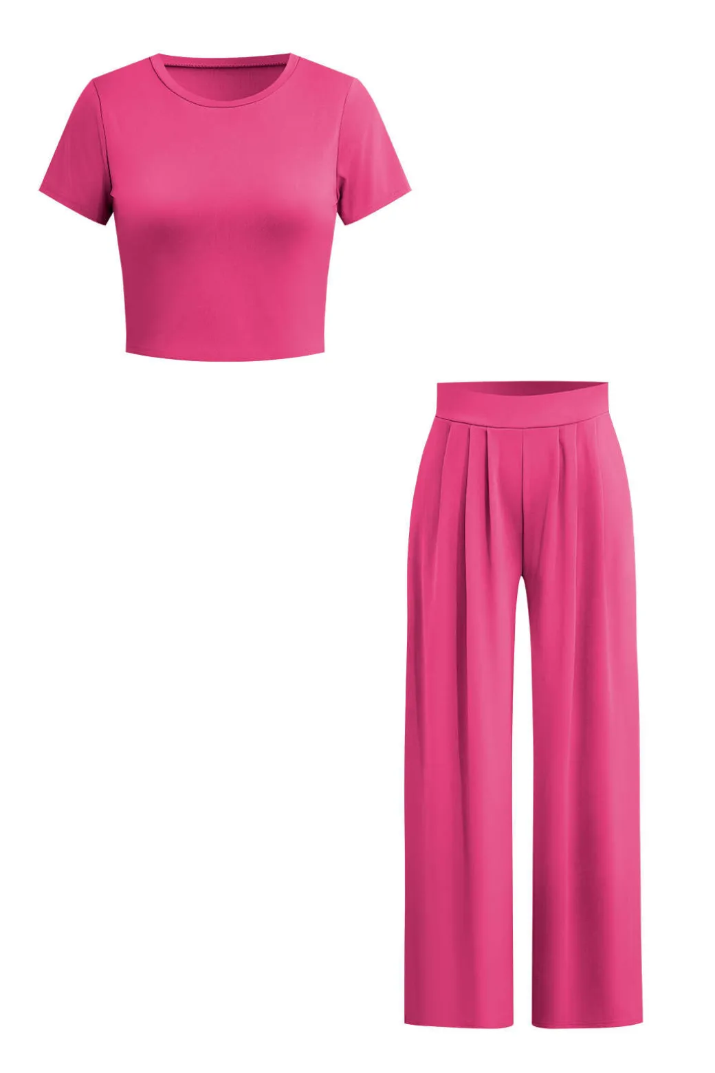 Basic Solid Crop T-shirt And Pleated High Waist Wide Leg Pants Set