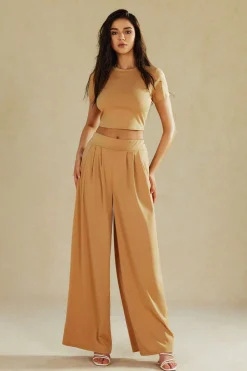 Basic Solid Crop T-shirt And Pleated High Waist Wide Leg Pants Set