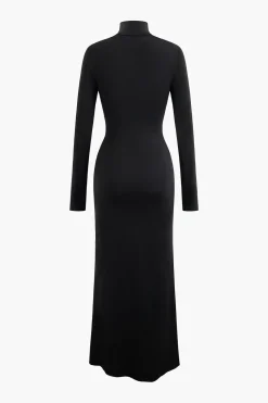 Body Print Turtle Neck Long Sleeve Maxi Dress