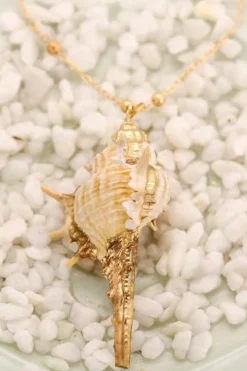 Conch Shell Pendant Necklace