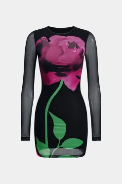 Floral Print Mesh Round Neck Long Sleeve Mini Dress