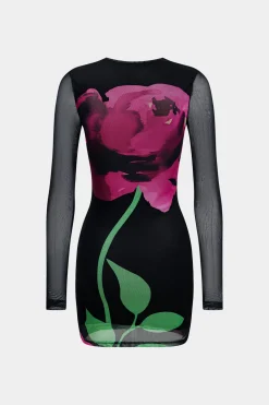 Floral Print Mesh Round Neck Long Sleeve Mini Dress
