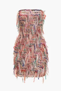 Fringe Mesh Strapless Mini Dress