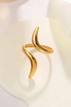 Geometric Open Ring