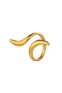 Geometric Open Ring