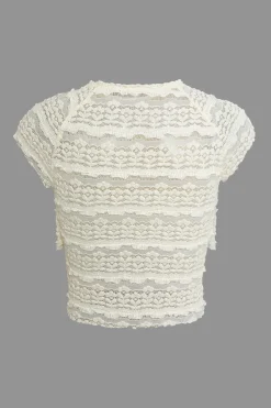 Lace Ruffle Crop Top And Skirt Set