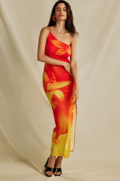 Lily Print Asymmetric One Shoulder Maxi Dress