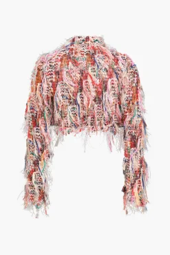 Mesh Fringe Long Sleeve Skirt Set