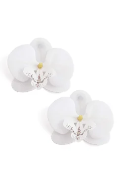 Phalaenopsis Orchid Flower Earrings