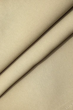 Pleated Wide Leg Pants With Belt