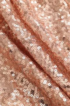 Sequin Pleated Mini Dress