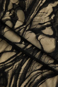 Sheer Lace Embroidered Slip Maxi Dress
