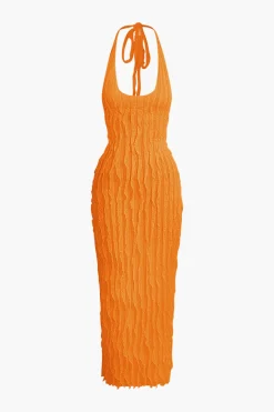Sheer Ruffle Texture Halter Backless Maxi Dress