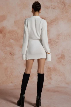 Solid Long Sleeve Deep V Mini Dress