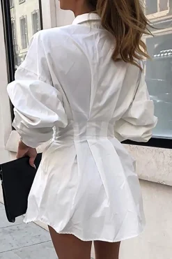 Solid Ruched Long Sleeve Mini Dress