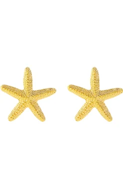 Starfish Earrings